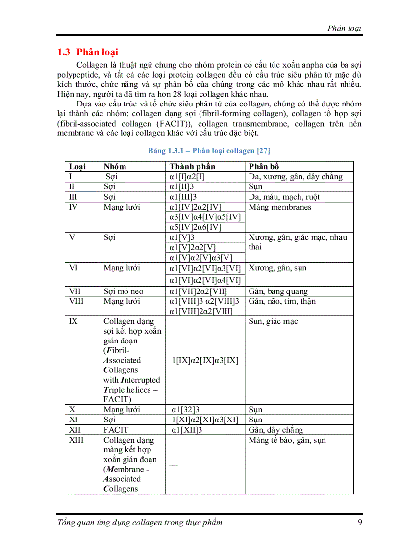 image for page Tìm hiểu về Ứng dụng collagen trong thực phẩm