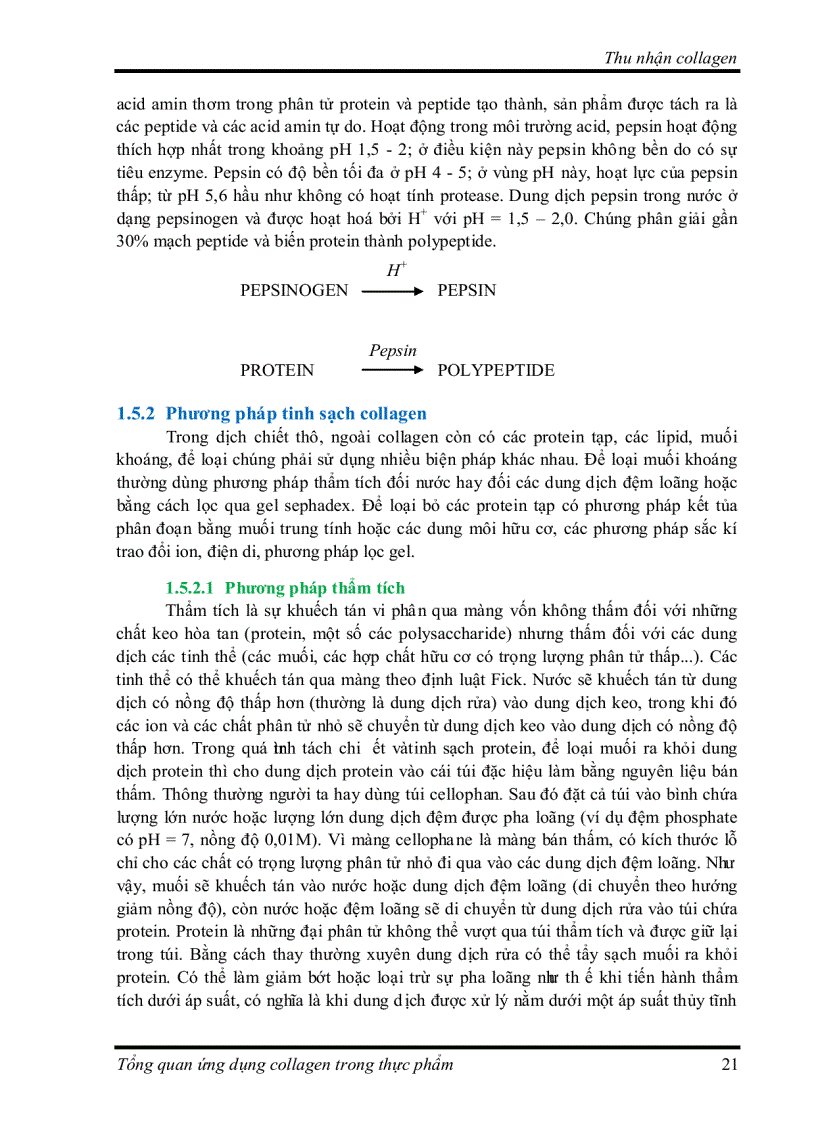 image for page Tìm hiểu về Ứng dụng collagen trong thực phẩm