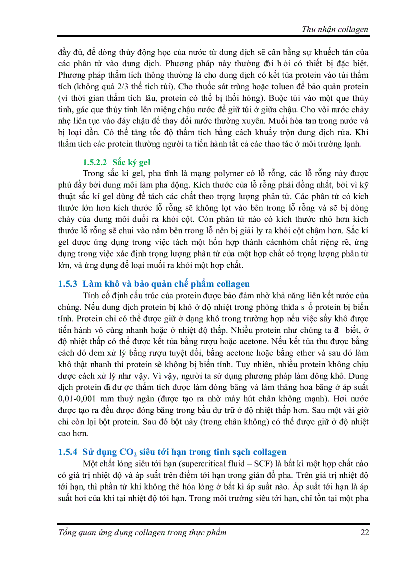 image for page Tìm hiểu về Ứng dụng collagen trong thực phẩm