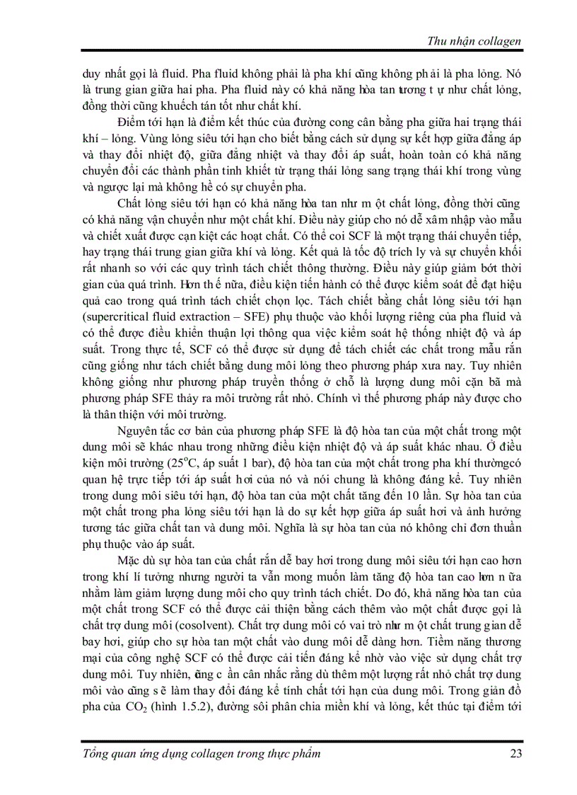 image for page Tìm hiểu về Ứng dụng collagen trong thực phẩm