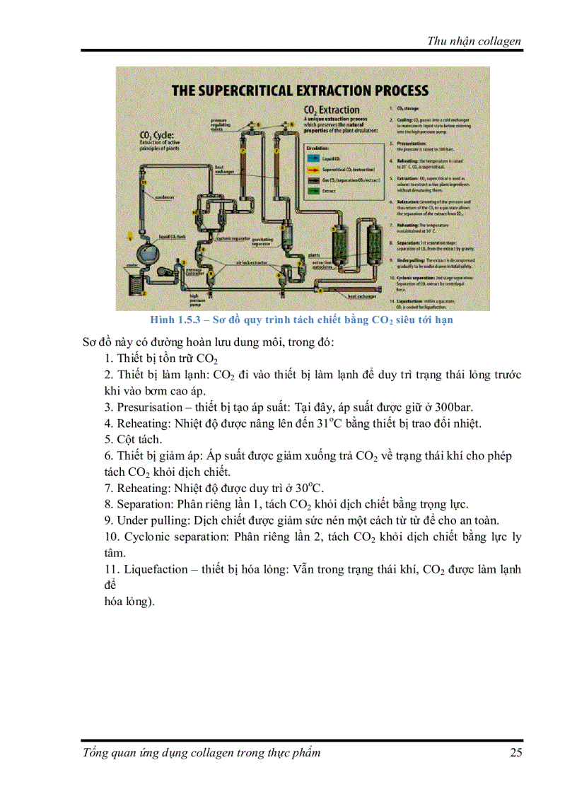 image for page Tìm hiểu về Ứng dụng collagen trong thực phẩm