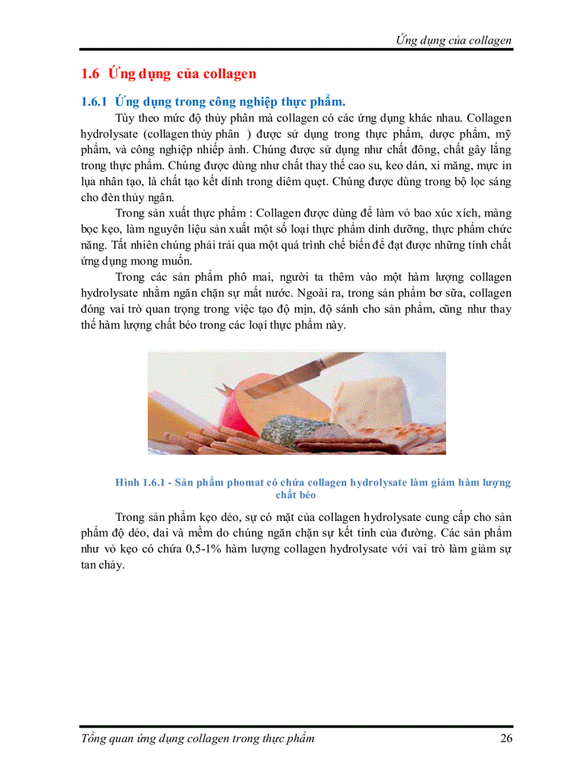 image for page Tìm hiểu về Ứng dụng collagen trong thực phẩm