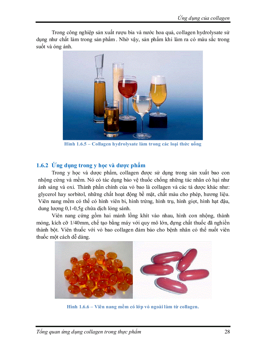 image for page Tìm hiểu về Ứng dụng collagen trong thực phẩm