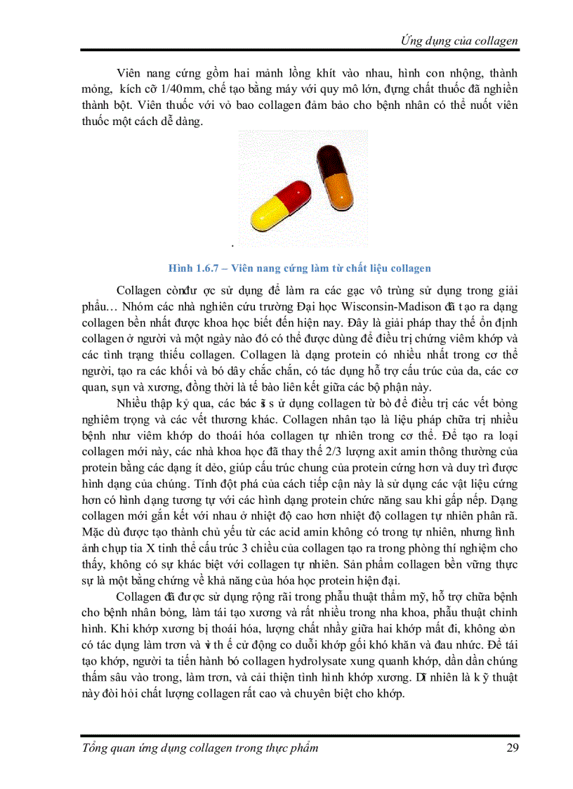 image for page Tìm hiểu về Ứng dụng collagen trong thực phẩm