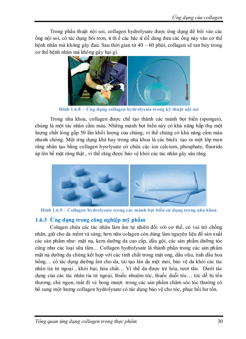 image for page Tìm hiểu về Ứng dụng collagen trong thực phẩm