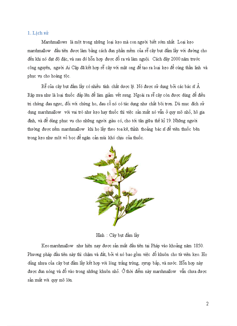 image for page C&#244;ng nghệ sản xuất kẹo Marshmallows