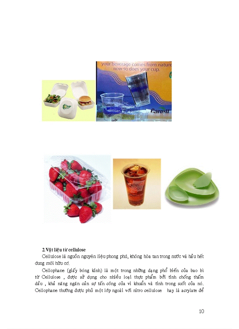 image for page Tìm hiểu về Vật liệu bao bì sinh học