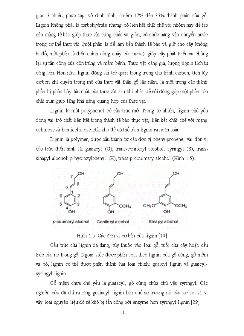 image for page Bước đầu nghiên cứu enzyme xylanolytic và cellulolytic từ một chủng vi khuẩn ưa nhiệt
