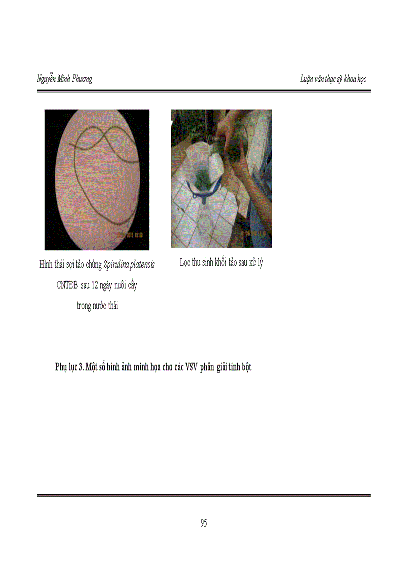 image for page Nghiên cứu ứng dụng vi sinh vật và vi tảo lam Spirulina trong xử lý nước thải làng nghề bún Phú Đô