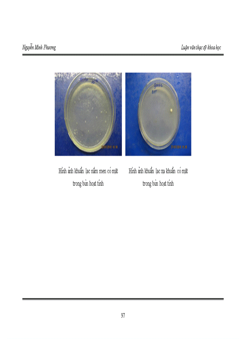 image for page Nghiên cứu ứng dụng vi sinh vật và vi tảo lam Spirulina trong xử lý nước thải làng nghề bún Phú Đô