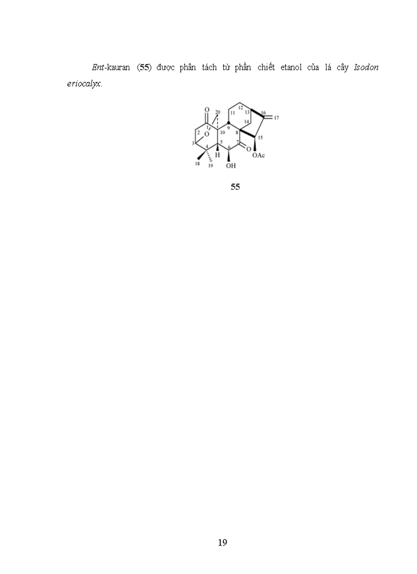image for page Nghiên cứu một số phản ứng chuyển hóa với hợp chất ent kauran diterpenoid phân lập