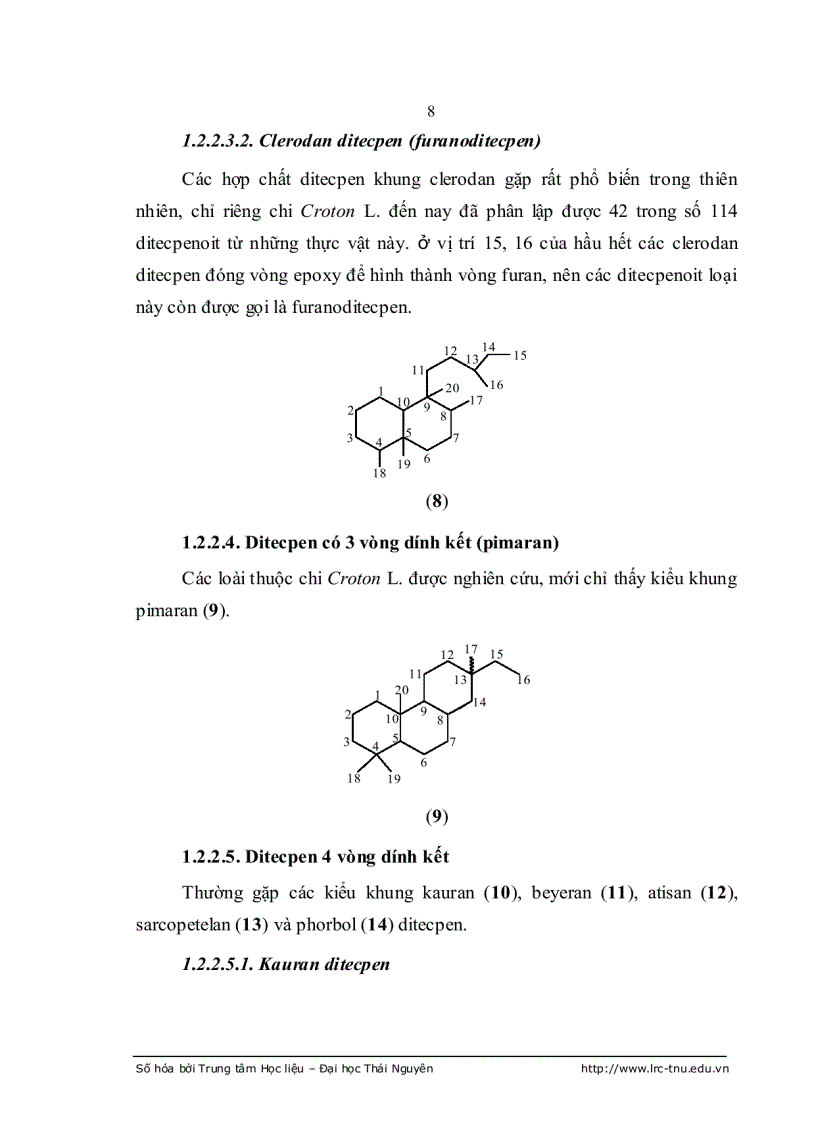 image for page Theo dõi hàm lượng hoạt chất diterpenoit trong cây Khổ sâm cho lá Croton tonkinensis