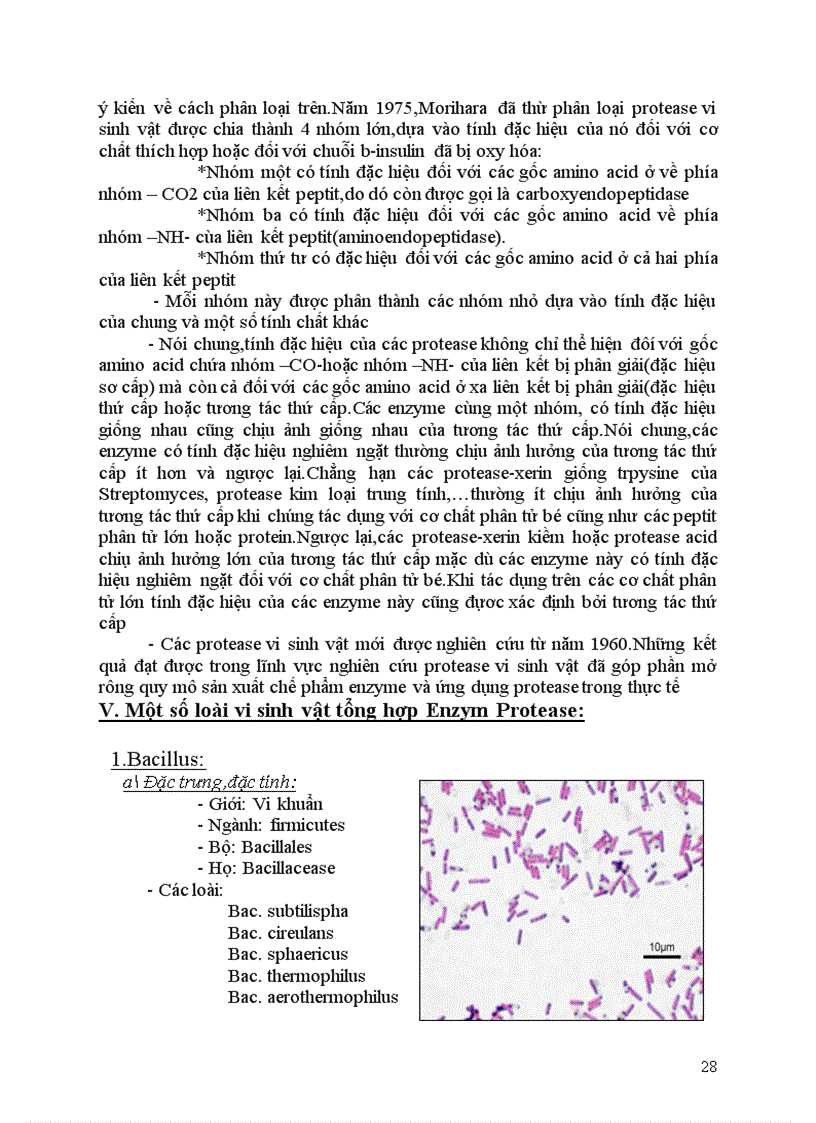 image for page Nguồn thu nhận và ứng dụng của enzyme protease