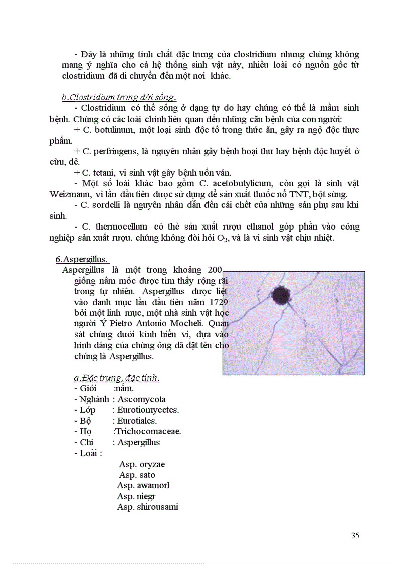 image for page Nguồn thu nhận và ứng dụng của enzyme protease