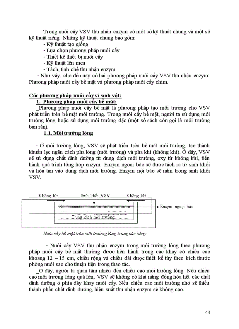 image for page Nguồn thu nhận và ứng dụng của enzyme protease