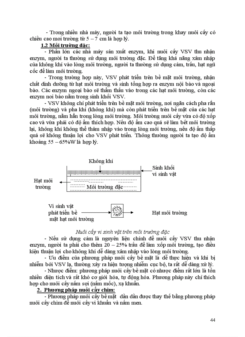 image for page Nguồn thu nhận và ứng dụng của enzyme protease