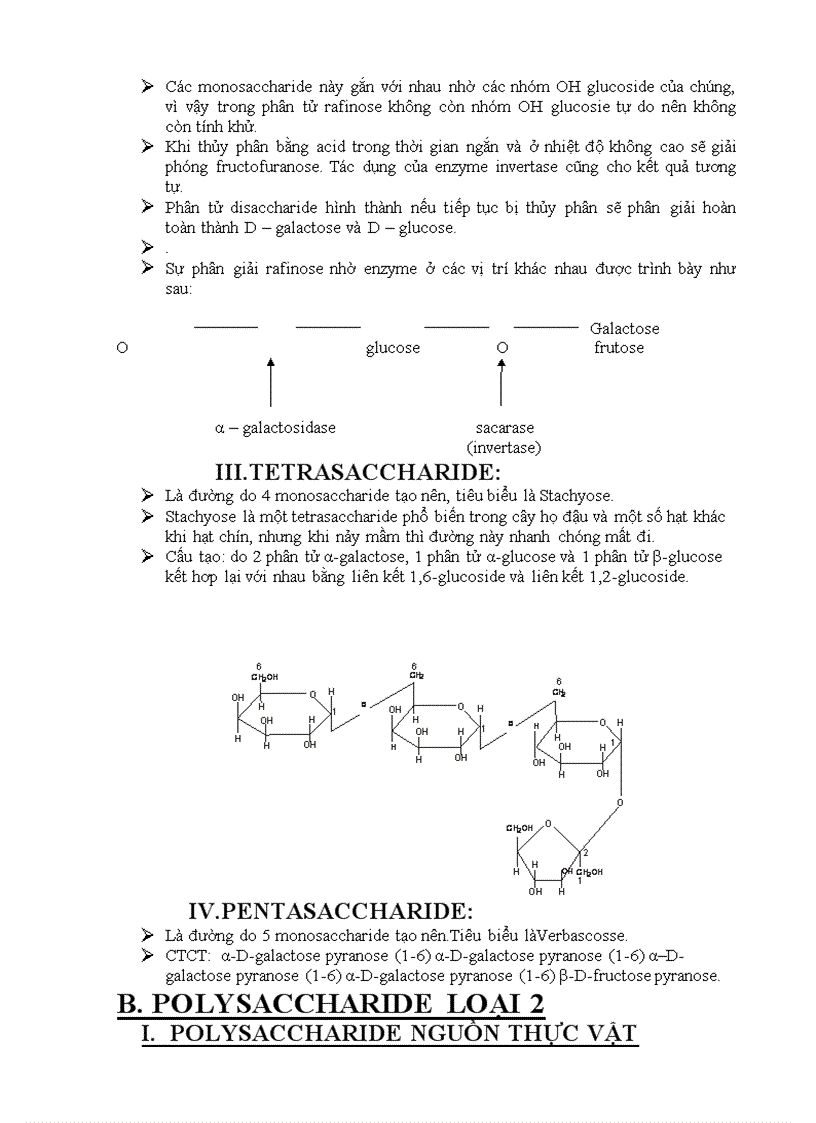 image for page Tìm hiểu về các polysaccharide cấu trúc