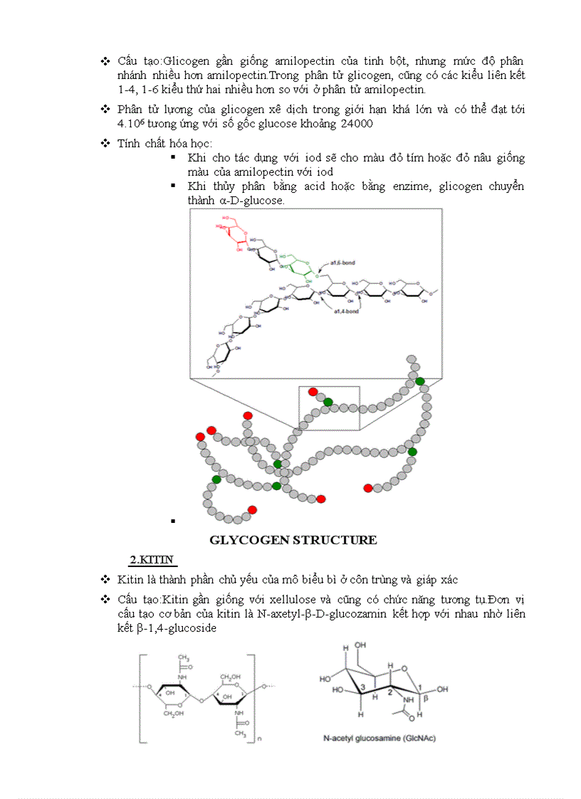 image for page Tìm hiểu về các polysaccharide cấu trúc