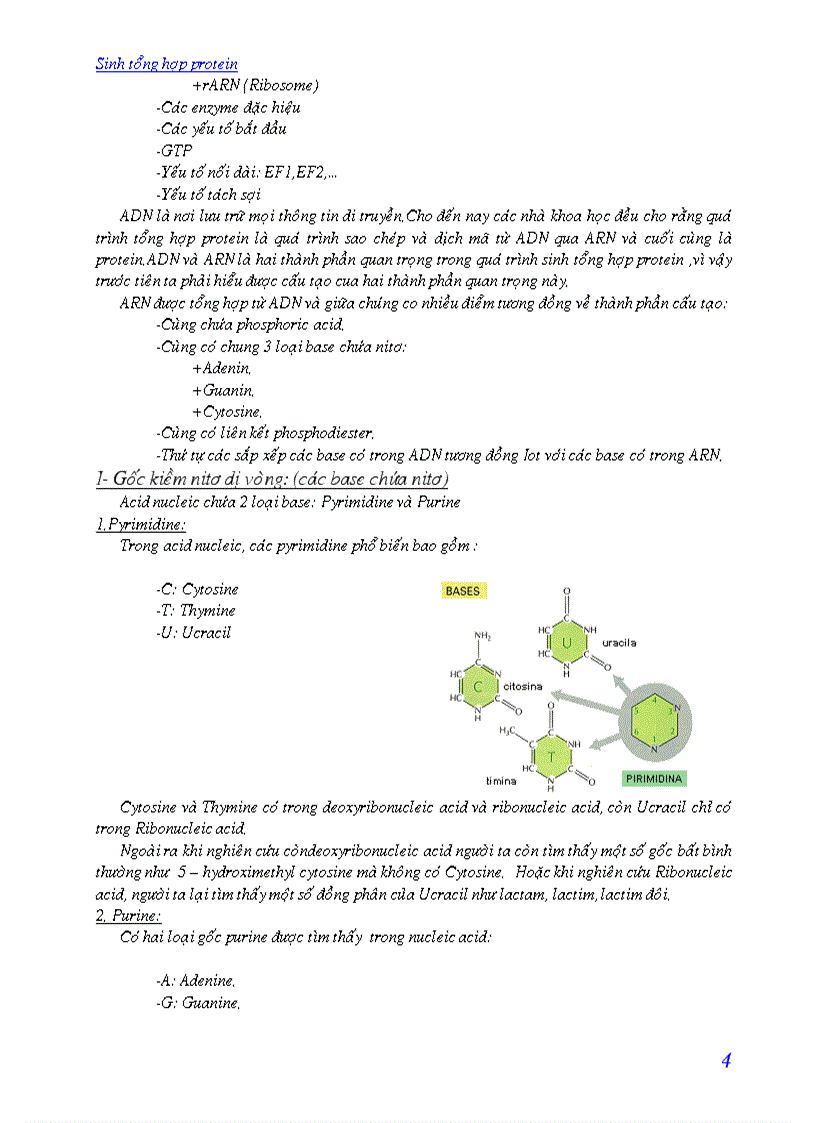 image for page Quá trình sinh tổng hợp protein