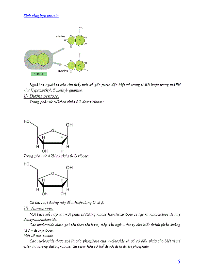 image for page Quá trình sinh tổng hợp protein
