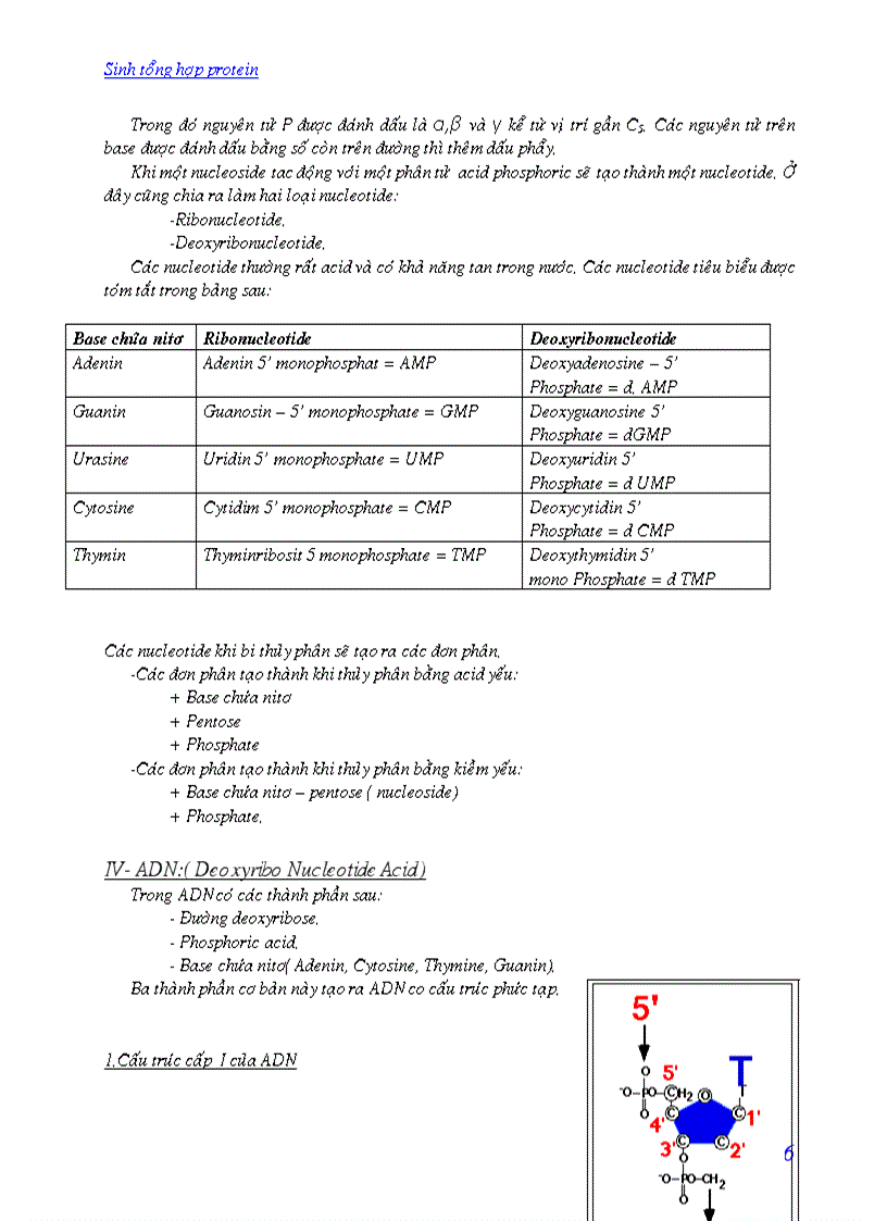 image for page Quá trình sinh tổng hợp protein