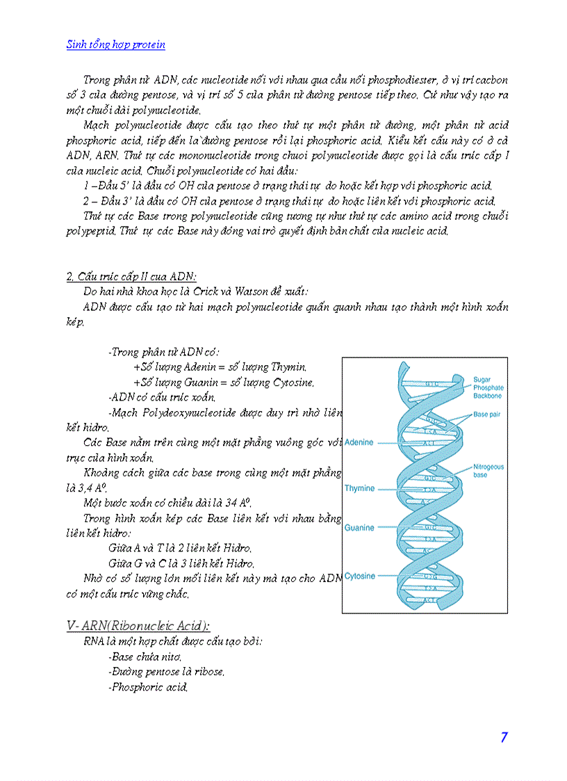 image for page Quá trình sinh tổng hợp protein