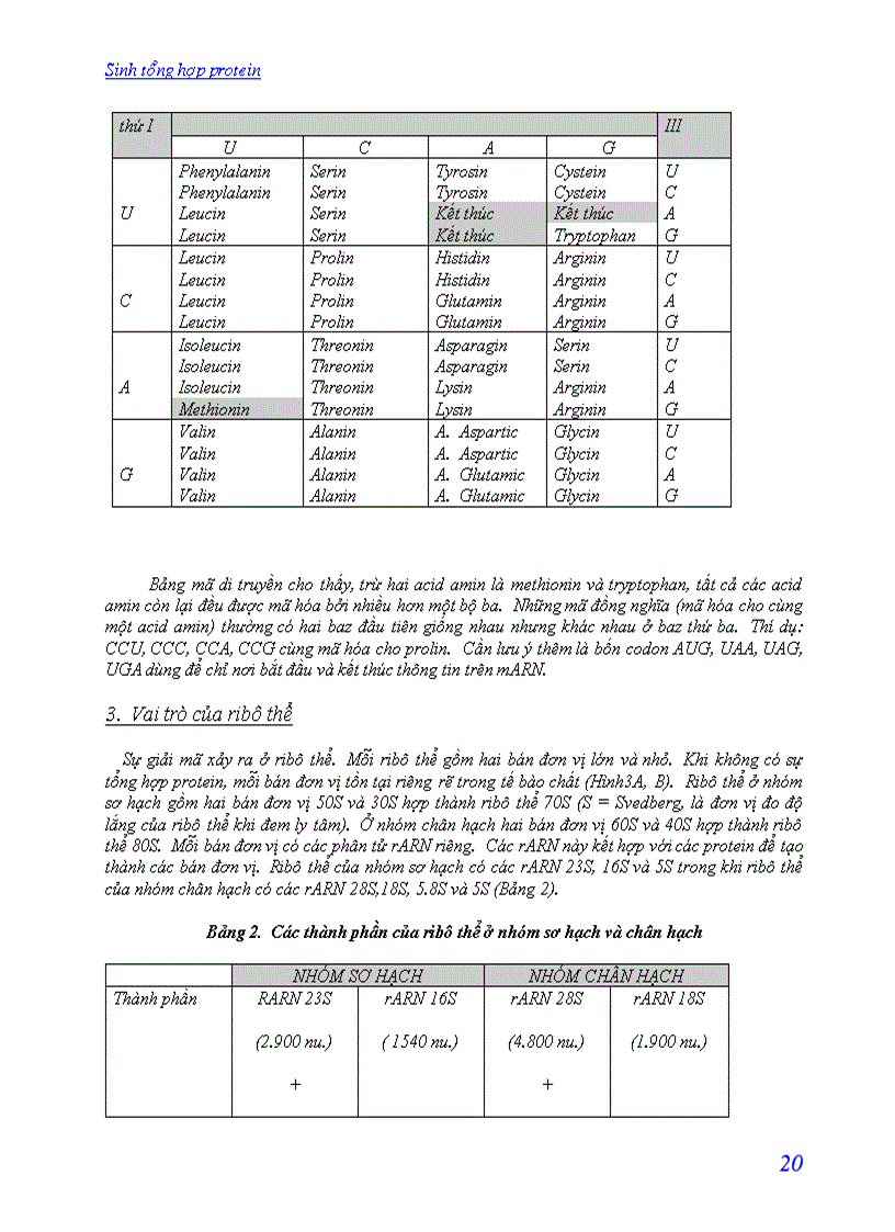 image for page Quá trình sinh tổng hợp protein