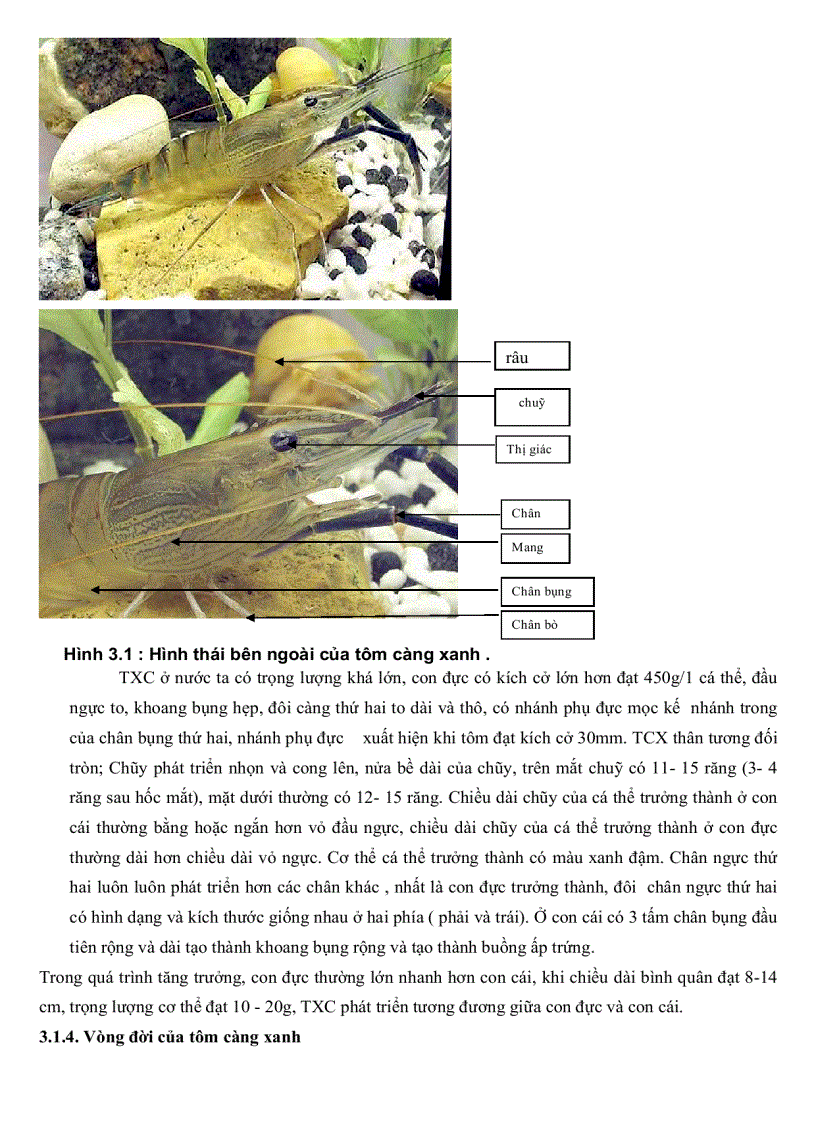 image for page Xây dựng bản đồ phân vùng sinh thái môi trường đất phục vụ quy hoạch phát triển nuôi tôm càng xanh huyện Tam Nông tỉnh Đồng Tháp