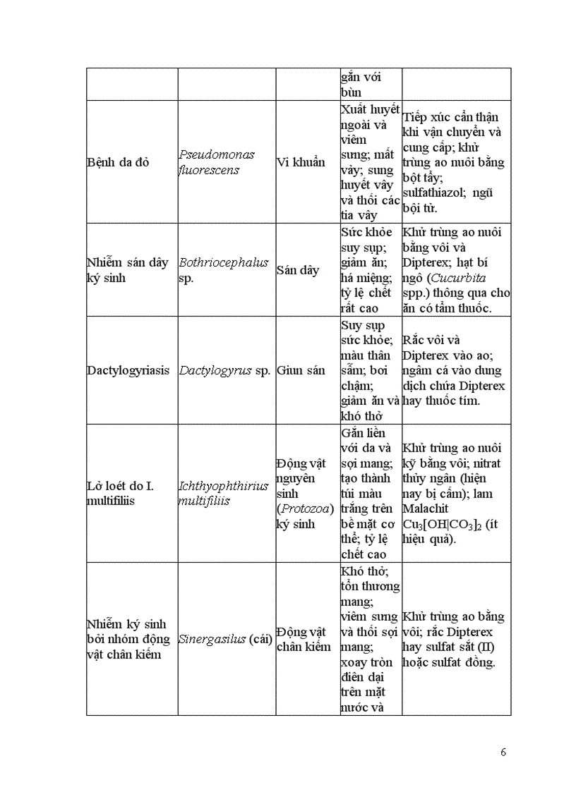 image for page Tìm hiểu về cá trắm cỏ