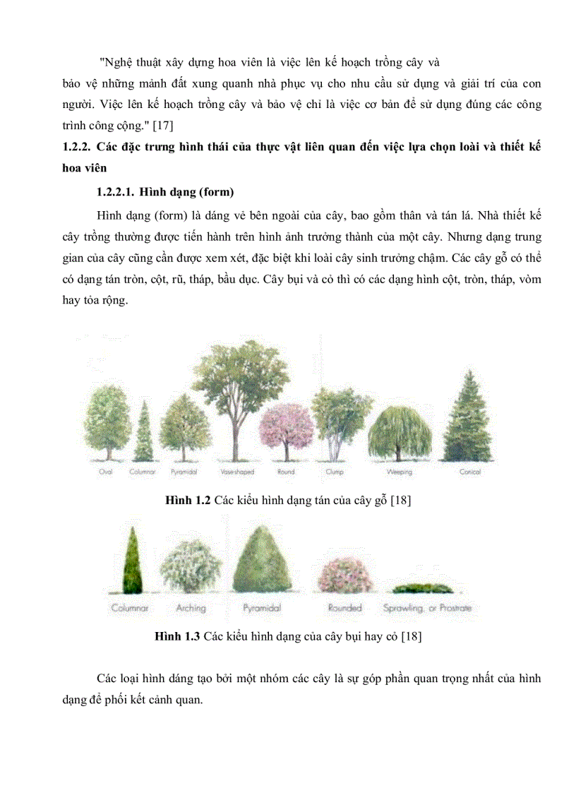 image for page Xây dựng sổ tay điện tử về cây xanh hoa kiểng ở TP HCM phục vụ thiết kế sân vườn và quy hoạch cây xanh đô thị