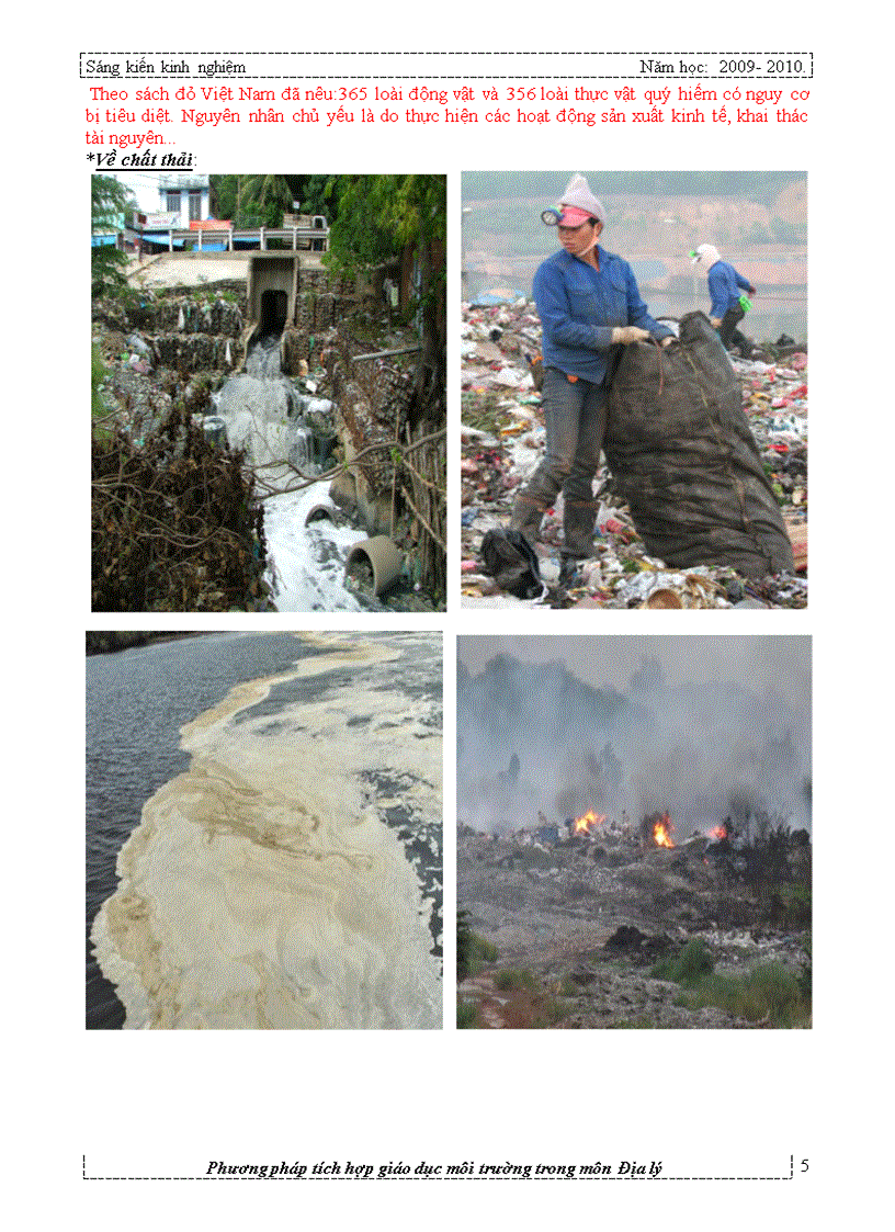 image for page Phương pháp tích hợp giáo dục môi trường trong môn địa lý cấp THCS Sáng kiến kinh nghiệm dạy học