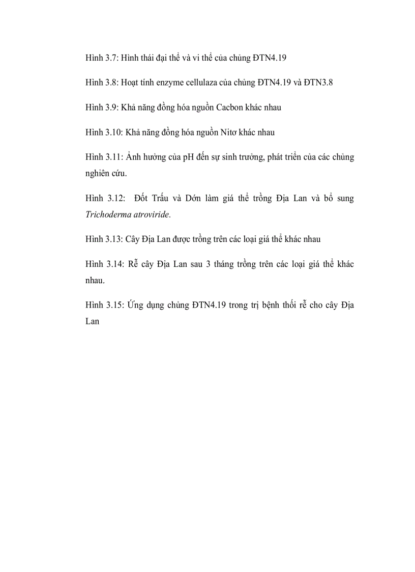 image for page Nghiên cứu khả năng sinh hoạt chất đối kháng vi sinh vật gây bệnh cho cây trồng của các chủng nấm sợi phân lập từ rừng Đà Lạt