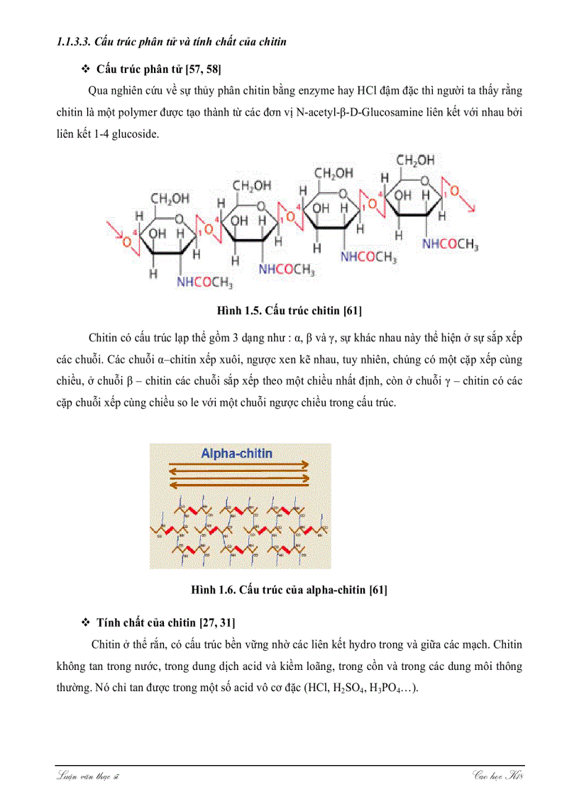 image for page Khảo sát khả năng sinh tổng hợp ENZYME CHITINASE của một số chủng nấm sợi thuộc giống ASPERGILLUS TRICHODERMA và ứng dụng