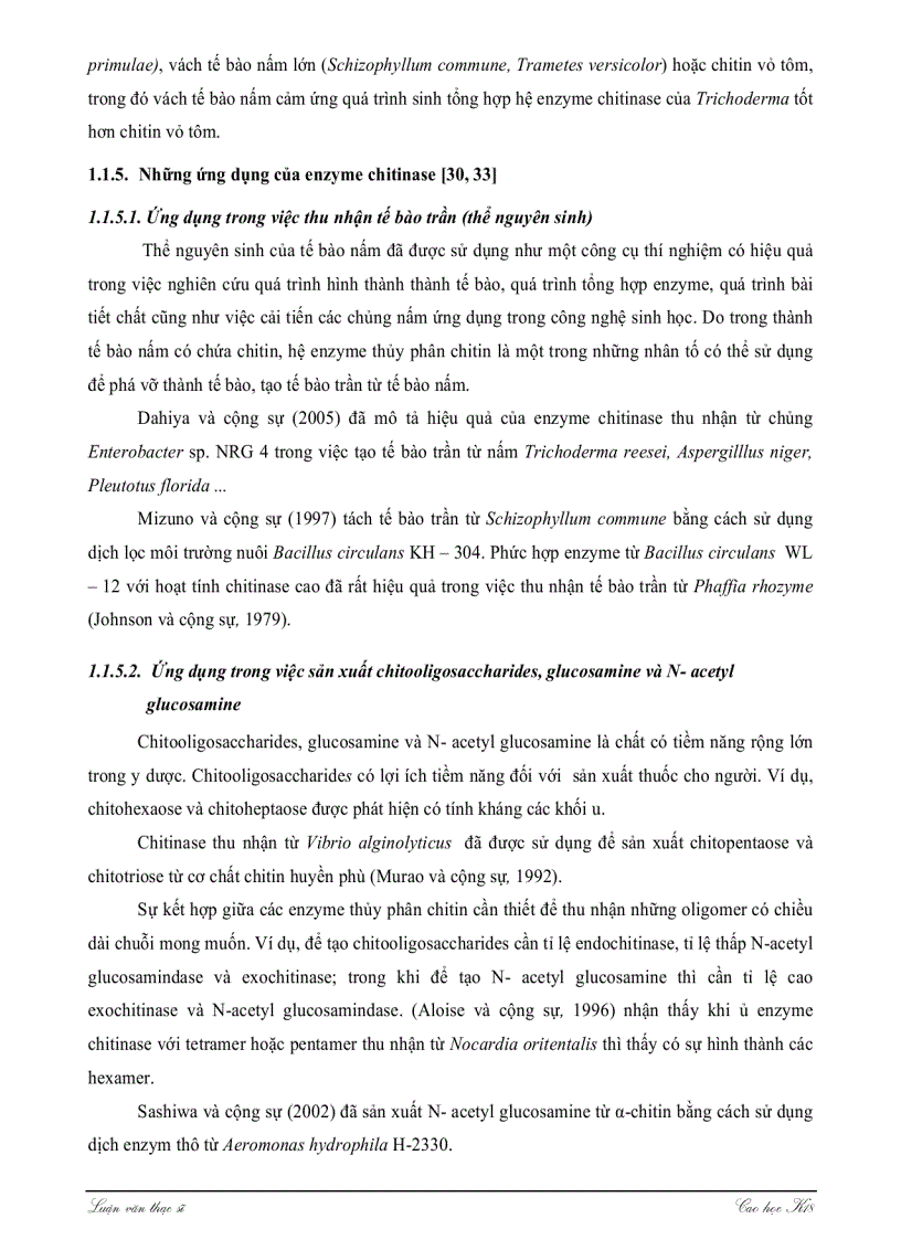 image for page Khảo sát khả năng sinh tổng hợp ENZYME CHITINASE của một số chủng nấm sợi thuộc giống ASPERGILLUS TRICHODERMA và ứng dụng