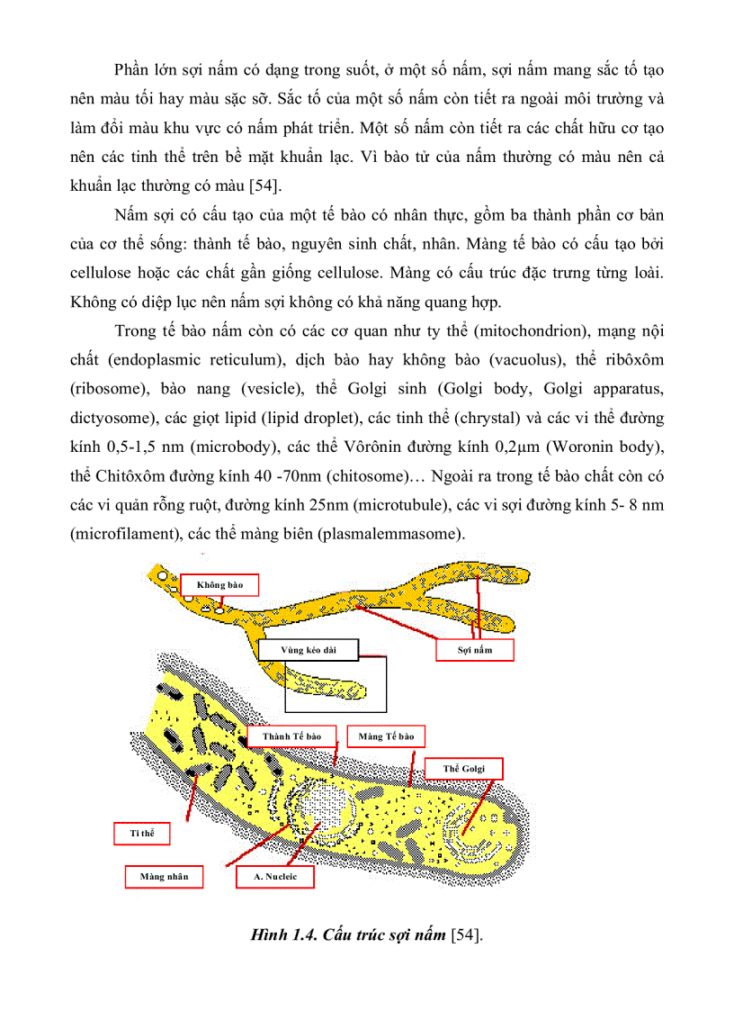 image for page Khảo sát khả năng sinh kháng sinh của các chủng nấm sợi phân lặp từ rừng ngập mặn huyện Cần Giờ thành phố Hồ Chí Minh