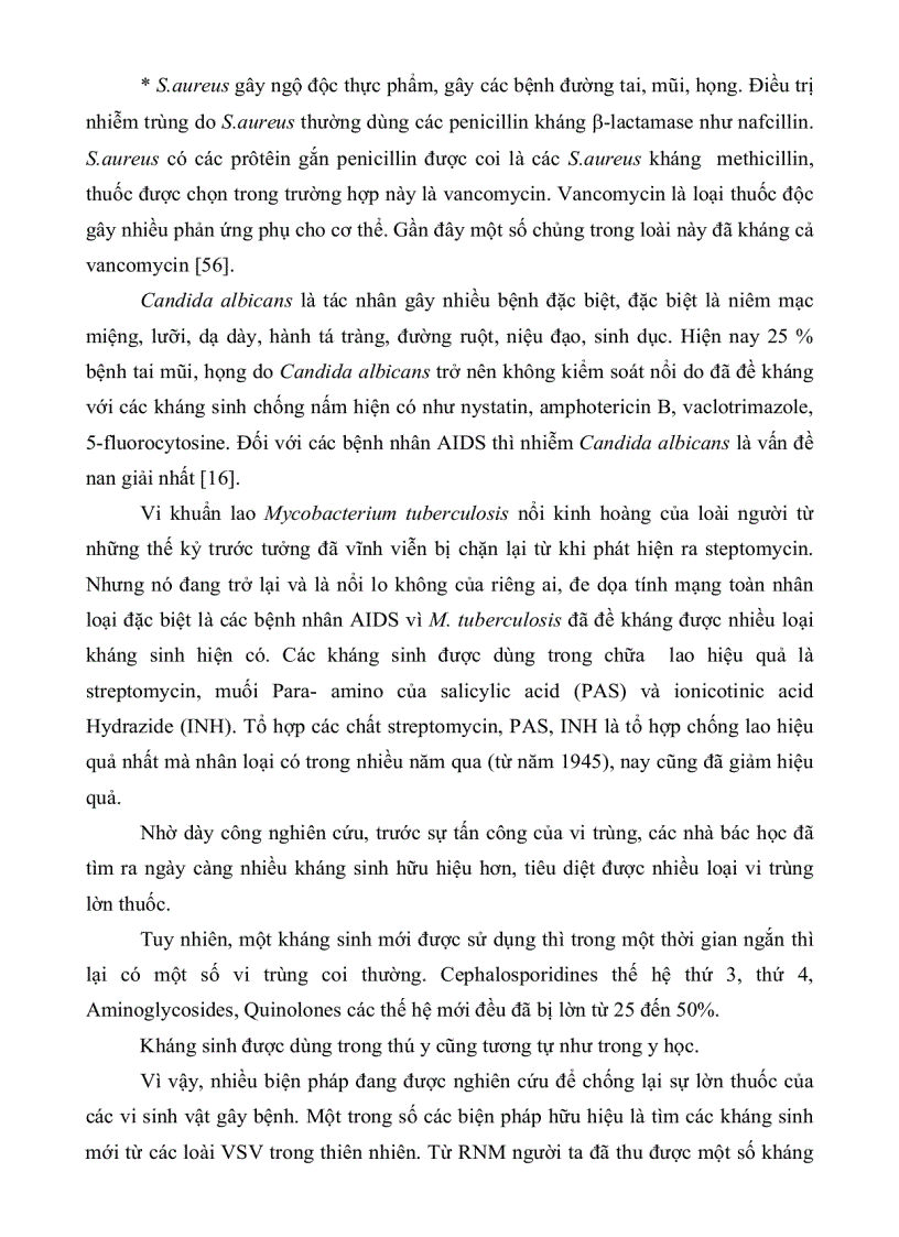 image for page Khảo sát khả năng sinh kháng sinh của các chủng nấm sợi phân lặp từ rừng ngập mặn huyện Cần Giờ thành phố Hồ Chí Minh