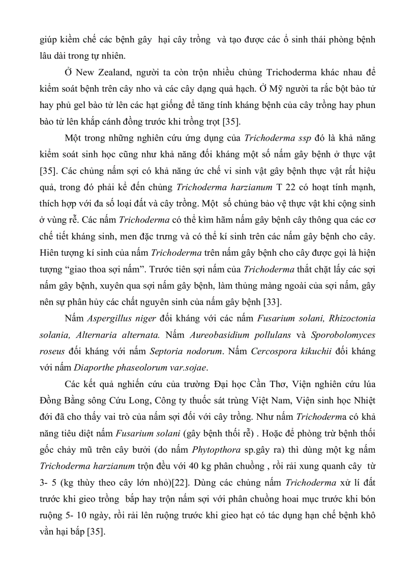 image for page Khảo sát khả năng sinh kháng sinh của các chủng nấm sợi phân lặp từ rừng ngập mặn huyện Cần Giờ thành phố Hồ Chí Minh