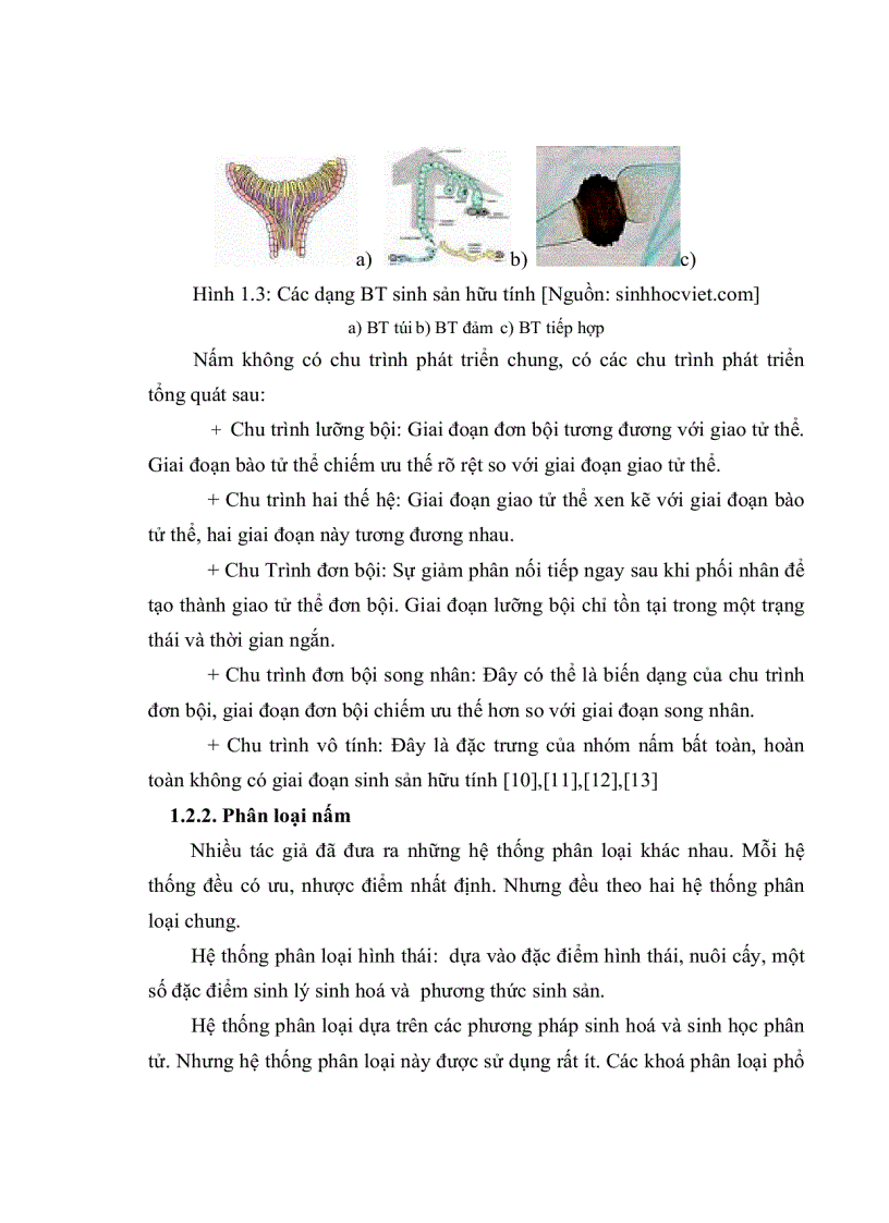 image for page Nghiên cứu khả năng phân giải CACBUAHYDRO của một số chủng nấm sợi phân lập từ rừng ngập mặn Cần Giờ