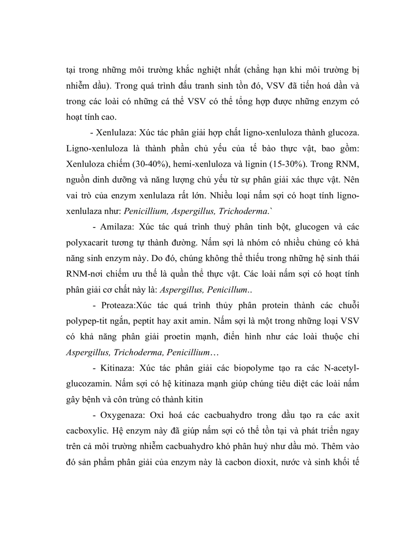 image for page Nghiên cứu khả năng phân giải CACBUAHYDRO của một số chủng nấm sợi phân lập từ rừng ngập mặn Cần Giờ