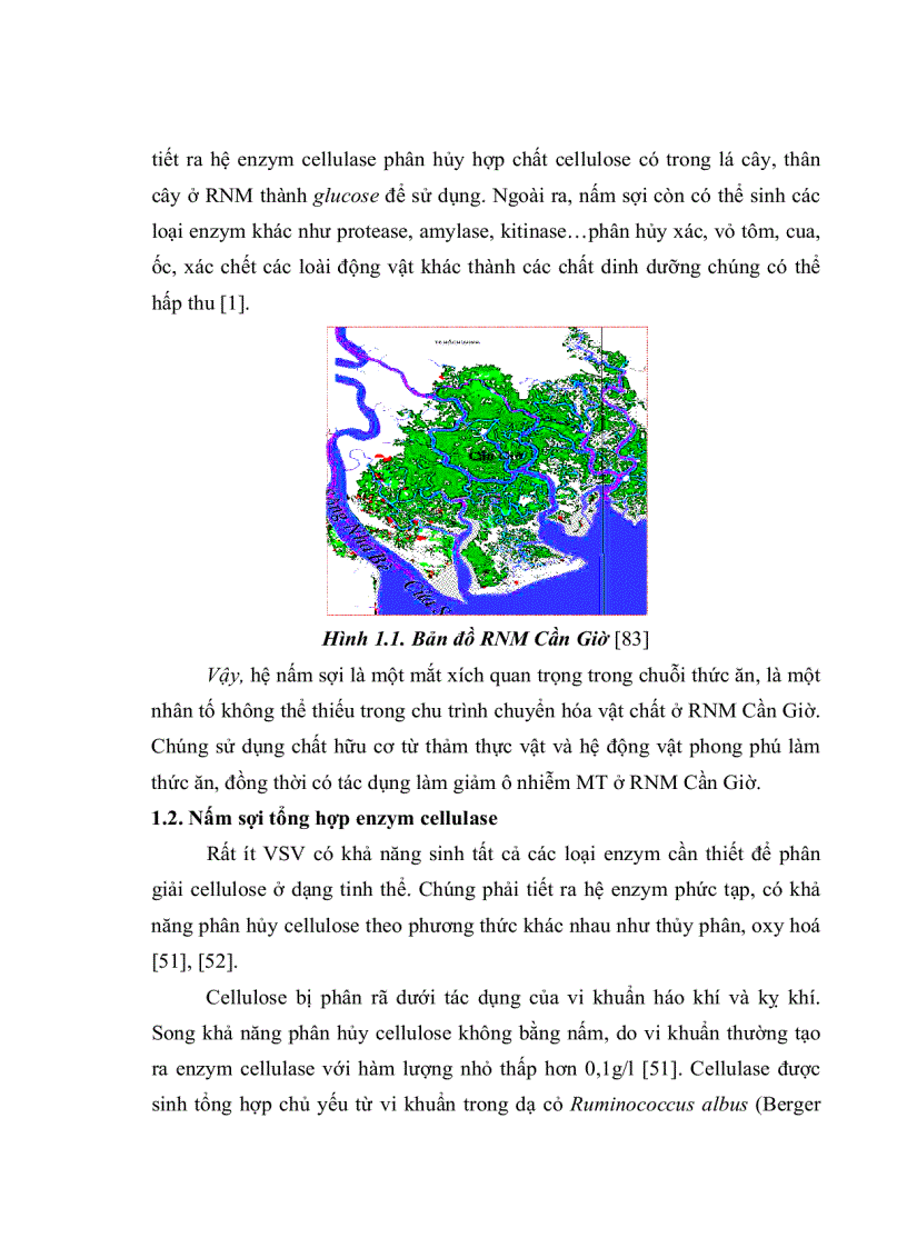 image for page Nghiên cứu khả năng sinh Enzym Cellulase của một số chủng nấm sợi phân lập từ rừng ngập mặn Cần Giờ