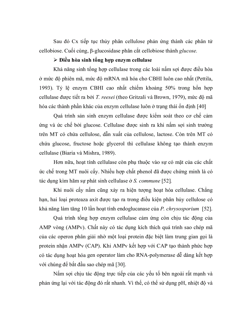 image for page Nghiên cứu khả năng sinh Enzym Cellulase của một số chủng nấm sợi phân lập từ rừng ngập mặn Cần Giờ