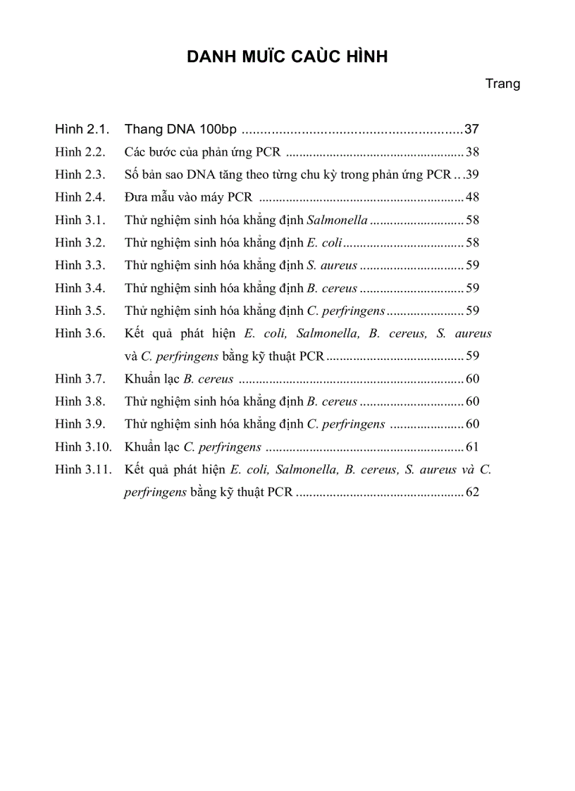 image for page Ứng dụng phương pháp PCR POLYMERASE CHAIN REACTION và phương pháp nuôi cấy để khảo sát sự nhiễm vi sinh vật gây bệnh trong thực phẩm đường phố