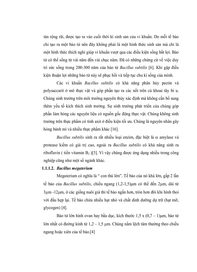 image for page Nghiên cứu tuyển chọn chủng vi khuẩn BACILLUS phân lập từ đất vườn sinh PROTEASE kiềm