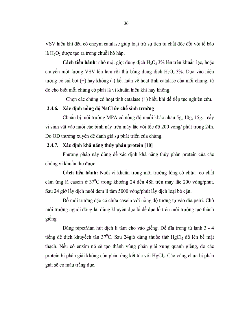 image for page Nghiên cứu tuyển chọn chủng vi khuẩn BACILLUS phân lập từ đất vườn sinh PROTEASE kiềm