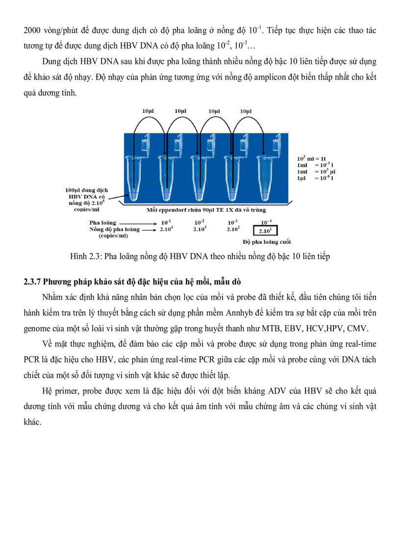 image for page Xây dựng quy trình phát hiện đột biến rtA181V T và rtN236T kháng ADEFOVIR của virus viêm gan B Hepatitis B Virus bằng kỹ thuật REAL TIME PCR