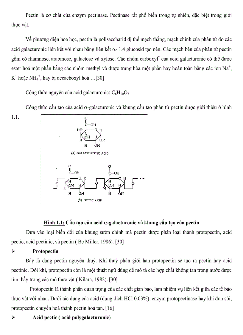 image for page Nghiên cứu sự tổng hợp cảm ứng Pectinase ở một số chủng Bacillus