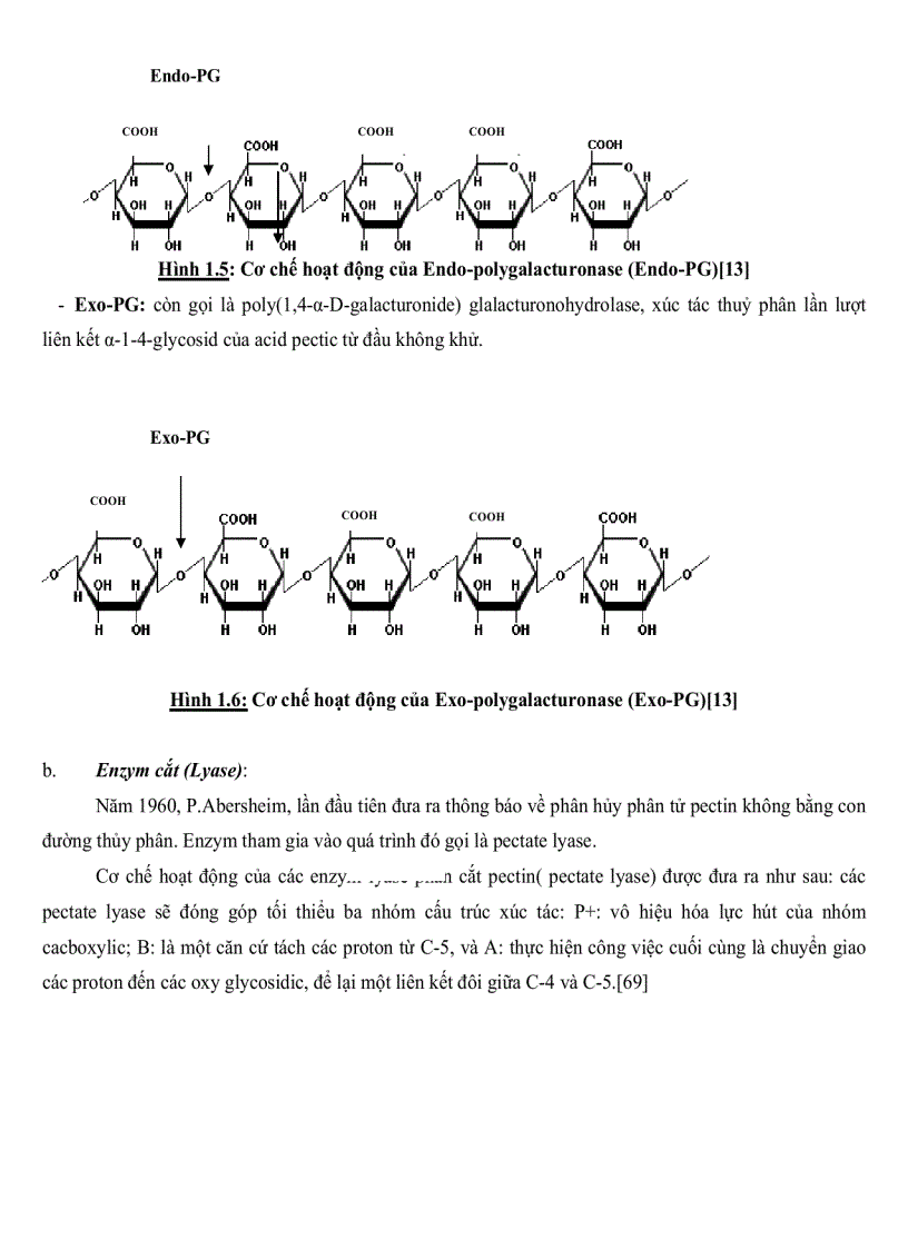 image for page Nghiên cứu sự tổng hợp cảm ứng Pectinase ở một số chủng Bacillus