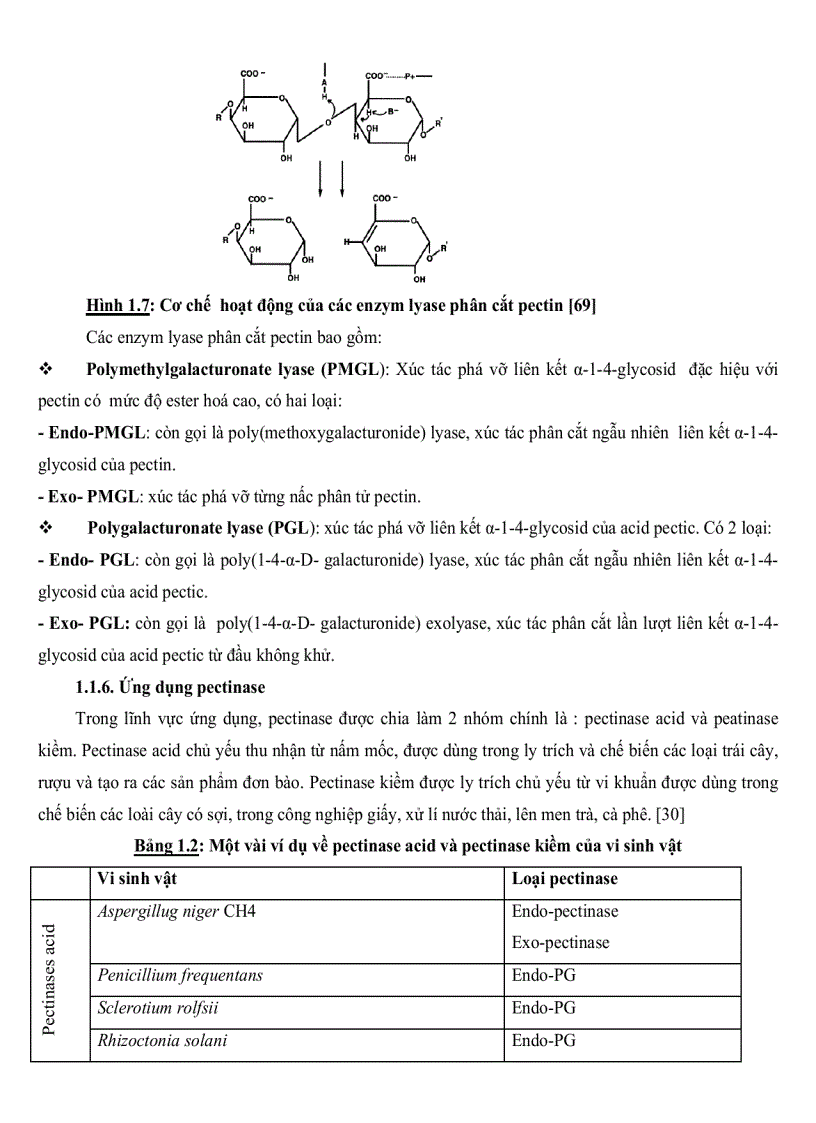 image for page Nghiên cứu sự tổng hợp cảm ứng Pectinase ở một số chủng Bacillus