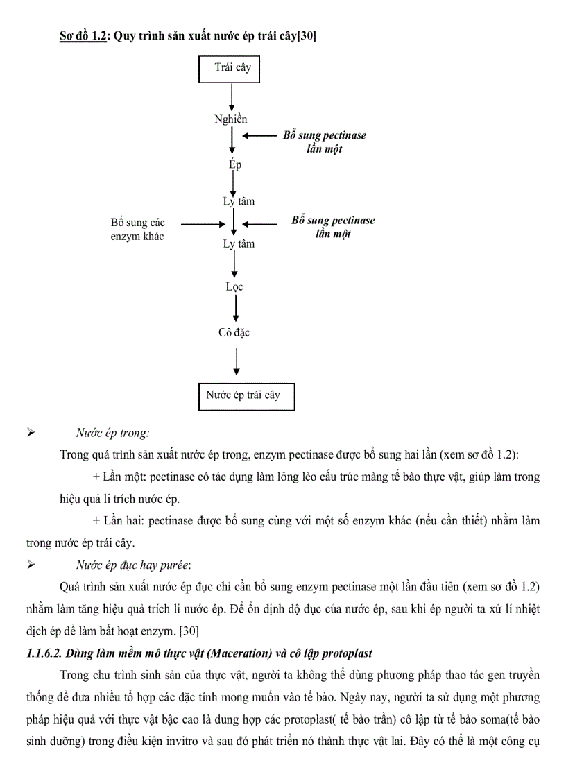 image for page Nghiên cứu sự tổng hợp cảm ứng Pectinase ở một số chủng Bacillus