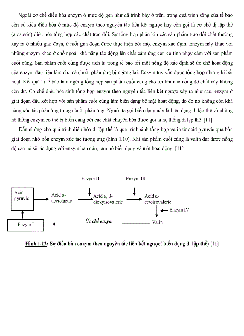 image for page Nghiên cứu sự tổng hợp cảm ứng Pectinase ở một số chủng Bacillus